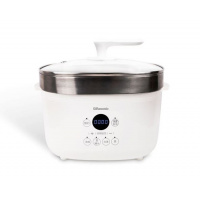 Rasonic 樂信 電子燉盅 (2.5公升) RSS-TS253C