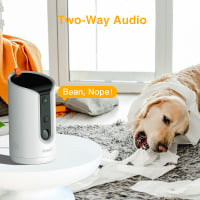 Arenti Petcam 1T 智能寵物監控鏡頭