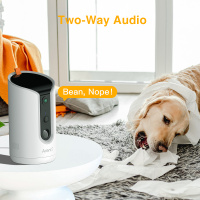 Arenti Petcam 1T 智能寵物監控鏡頭 — 圖 3