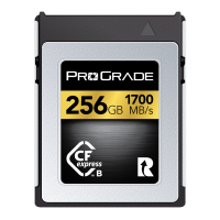 Prograde Digital CFexpress Type B 4.0 Memory Card Gold 記憶卡 512GB [R:3400 W:850] — 圖 2