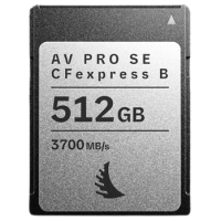Prograde Digital CFexpress Type B 4.0 Memory Card Gold 記憶卡 512GB [R:3400 W:850]