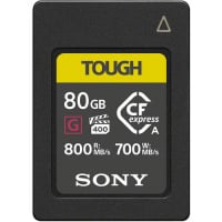 Sony SF-G Series Tough UHS-II SDXC 記憶卡 256GB [R:300 W:299] (SF-G256T)