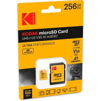 SanDisk UHS-I microSDXC 記憶卡 for Nintendo Switch 256GB [R:100 W:90] (SDSQXAO-256G)