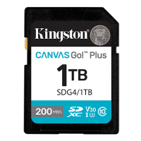 Kingston Canvas Go! Plus V30 SDXC 記憶卡 512GB [R:200 W:160] (SDG4/512GB)