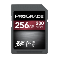 Prograde Digital SDXC UHS-I V30 200R Strontium Memory Card 記憶卡 256GB [R:200 W:50]