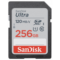 SanDisk Extreme PRO V30 U3 C10 UHS-I SDXC 記憶卡 256GB [R:170 W:90] (SDSDXXY-256G)