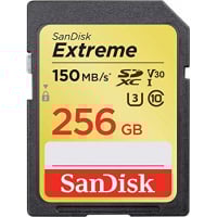SanDisk Extreme PRO V30 U3 C10 UHS-I SDXC 記憶卡 256GB [R:170 W:90] (SDSDXXY-256G)