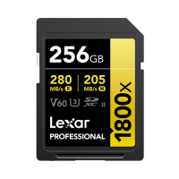 Lexar Professional SILVER PLUS SDXC UHS-I Card 256GB [R:205 W:150]
