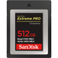 SanDisk Extreme PRO CFexpress Type-B 記憶卡 256GB [R:1700 W:1200] (SDCFE-256G)