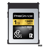 Prograde Digital SDXC UHS-II V60 250R Memory Card 256GB [R:250 W:130]