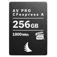 Prograde Digital SDXC UHS-II V90 300R Iridium 記憶卡 512GB [R:300 W:275]