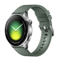 Huawei 華為 Band 11 Pro 華為手環 11 Pro (鋁合金錶殼) 氟橡膠錶帶