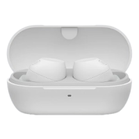 Sony 真無線耳機 WF-C710N