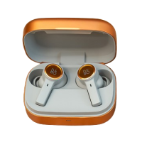 Bowers & Wilkins 真無線入耳式降噪耳機 McLaren Edition 特別版 Pi8