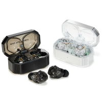 Victor Wood master 真無線耳機 HA-FW5000T