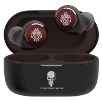 AVIOT 真無線耳機 TE-U1