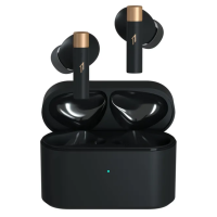 1MORE LDAC 真無線降噪耳機 Q21