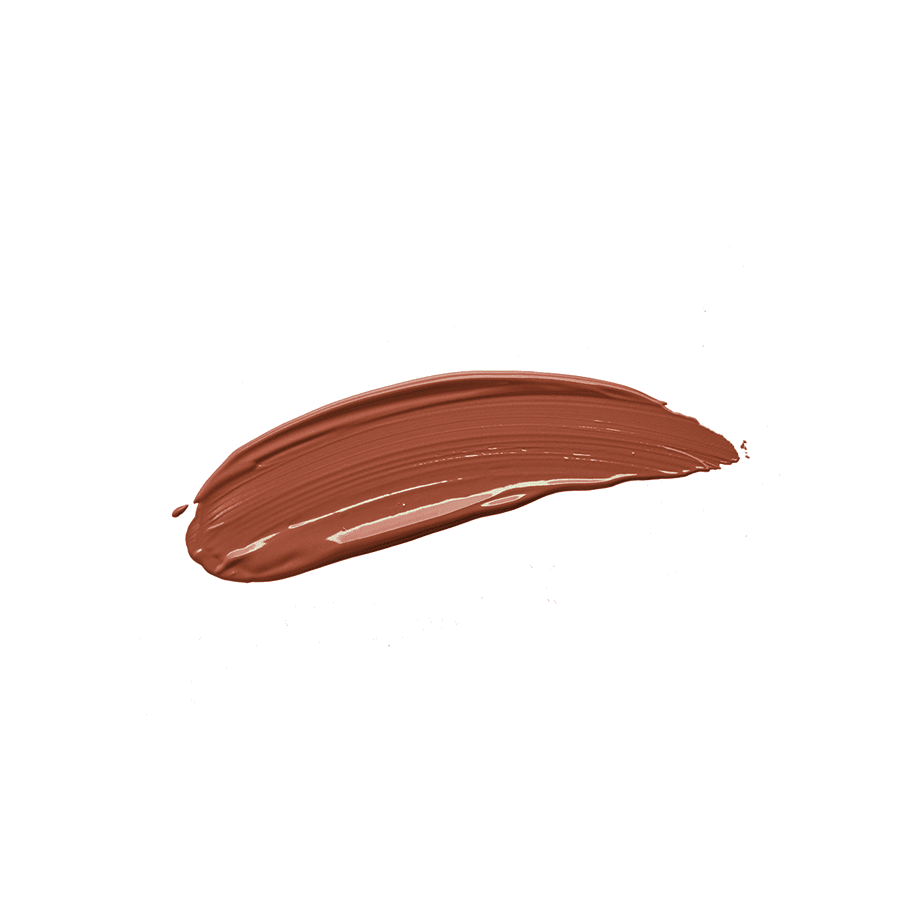 CEZANNE セザンヌ 持久唇膏 Lasting Lip Color N 3.9g