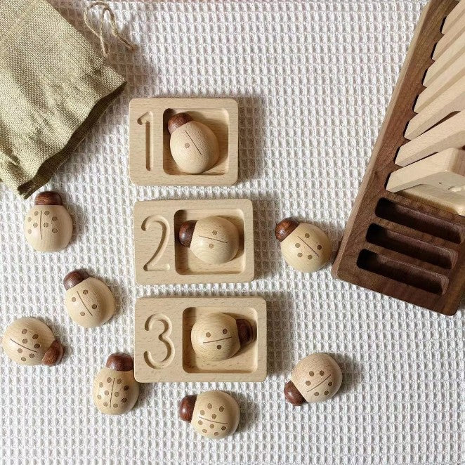 Wooden_Ladybugs_Counting_Toy_10pc._Montessori_Math_Learning_wooden-counting-ladybug-9