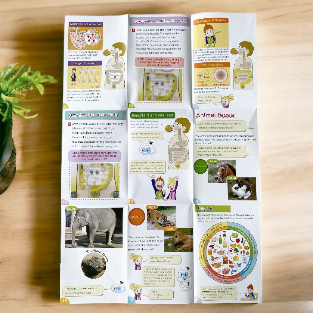 STEM_Science_Kit._Digestive_system_maze,_Build_a_working_eye_model_stem-kit-5