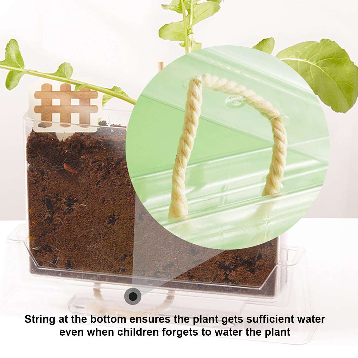 Plant_Observation_Kit._Montessori_Educational_Science_Toy._04cn-MiDeerAllthingsgrow-LittlePlantObserverMD4196-www-ho