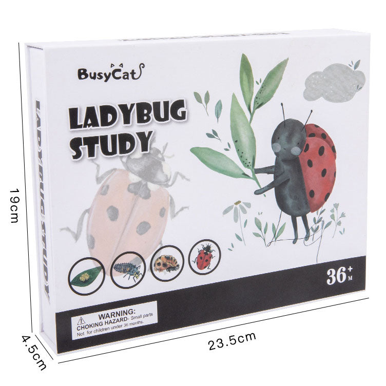 Montessori_inspired_wooden_lady_bug_educational_counting_toy_wooden-ladybug-counting-educational-toy-specs