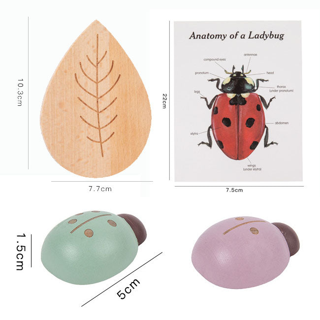 Montessori_inspired_wooden_lady_bug_educational_counting_toy_wooden-ladybug-counting-educational-toy-specs2