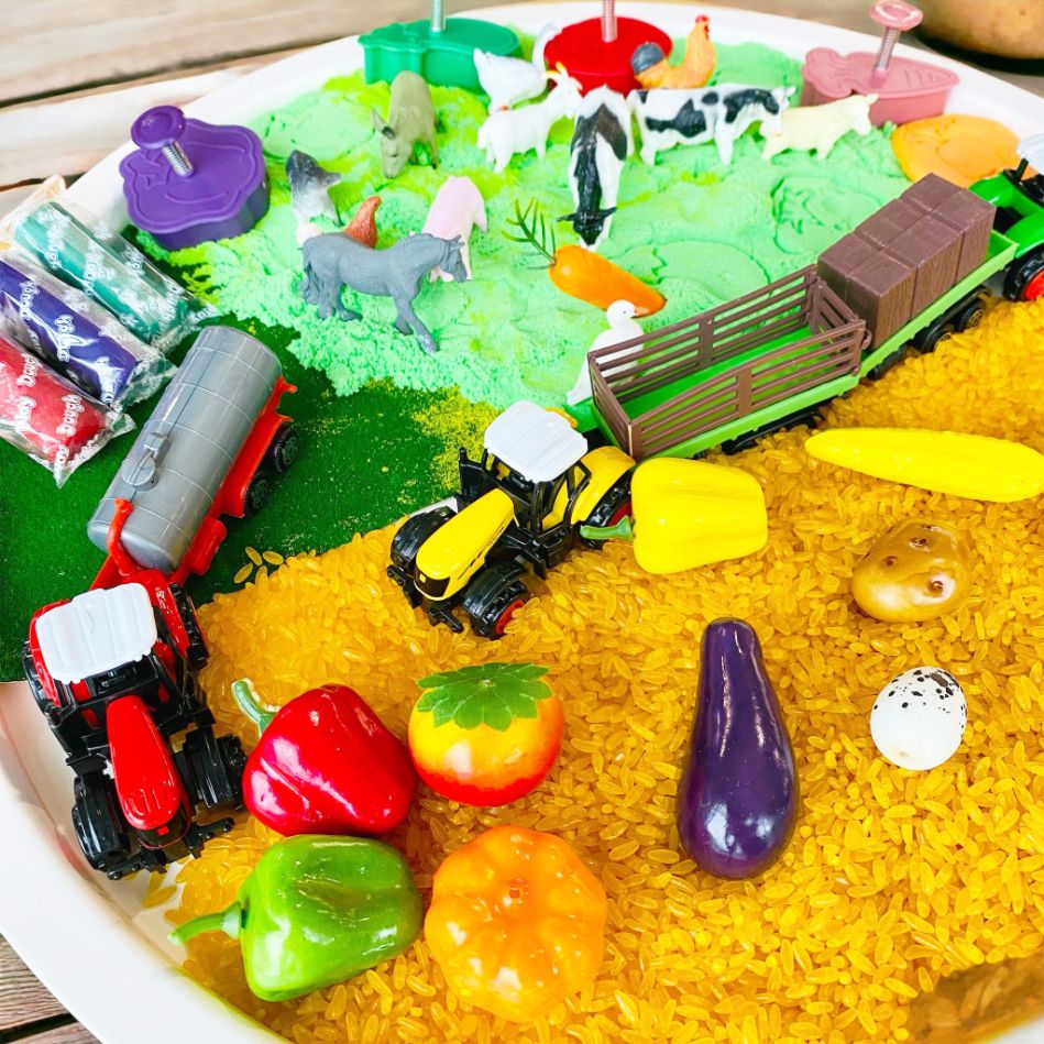 Farm_Theme_Sensory_Play_Set._Pretend_Play._Sensory_exploration_farm-theme-8
